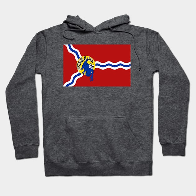 King Gizzard and the Lizard Wizard - St Louis Flag September 5, 2024 Hoodie by skauff